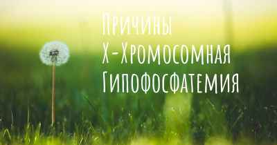 Причины Х-Хромосомная Гипофосфатемия