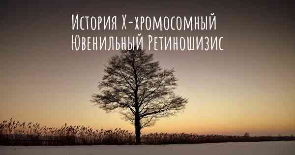 История Х-хромосомный Ювенильный Ретиношизис