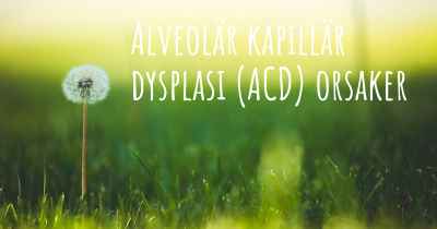 Alveolär kapillär dysplasi (ACD) orsaker