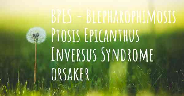 BPES - Blepharophimosis Ptosis Epicanthus Inversus Syndrome orsaker