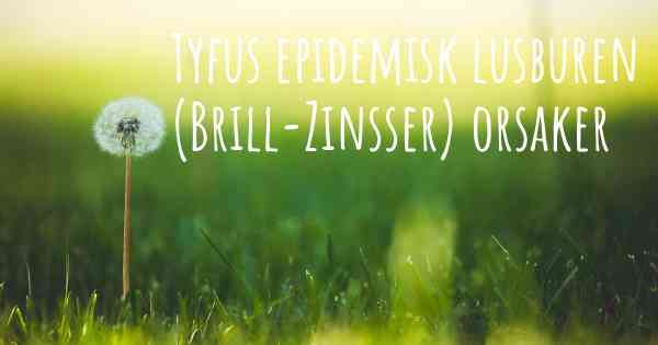 Tyfus epidemisk lusburen (Brill-Zinsser) orsaker