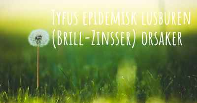Tyfus epidemisk lusburen (Brill-Zinsser) orsaker