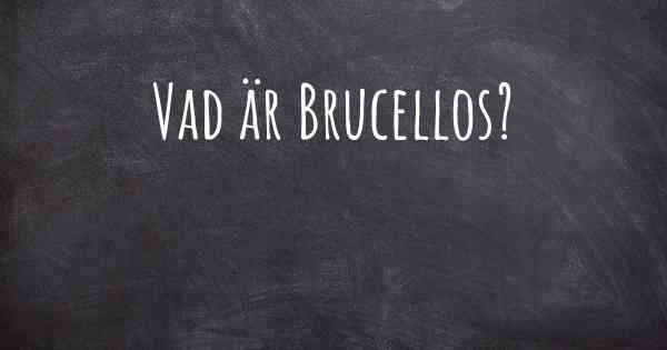 Vad är Brucellos?