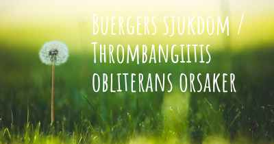 Buergers sjukdom / Thrombangiitis obliterans orsaker