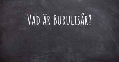 Vad är Burulisår?