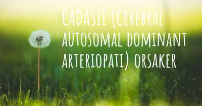CADASIL (Cerebral autosomal dominant arteriopati) orsaker