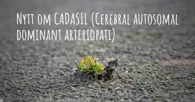 Nytt om CADASIL (Cerebral autosomal dominant arteriopati)