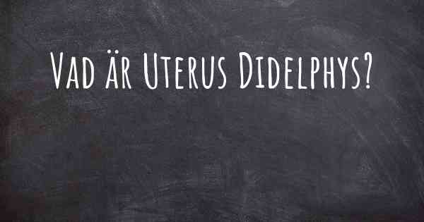 Vad är Uterus Didelphys?