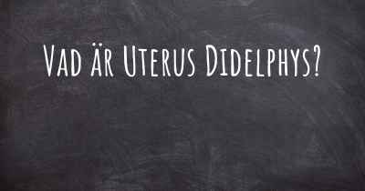 Vad är Uterus Didelphys?