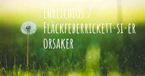 Ehrlichios / Fläckfeberrickett­si­er orsaker