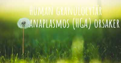 Human granulocytär anaplasmos (HGA) orsaker