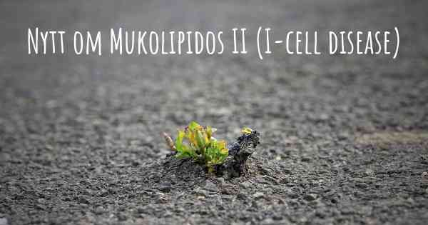 Nytt om Mukolipidos II (I-cell disease)