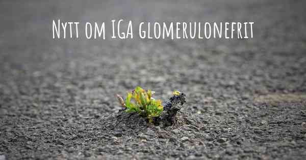 Nytt om IGA glomerulonefrit