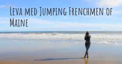 Leva med Jumping Frenchmen of Maine
