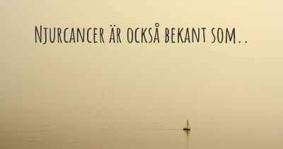 Njurcancer är också bekant som..