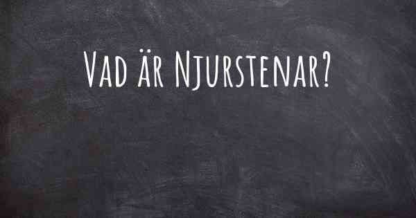 Vad är Njurstenar?