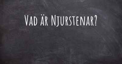 Vad är Njurstenar?