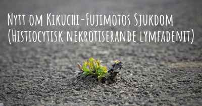 Nytt om Kikuchi-Fujimotos Sjukdom (Histiocytisk nekrotiserande lymfadenit)