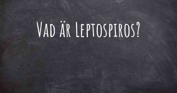 Vad är Leptospiros?
