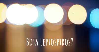 Bota Leptospiros?