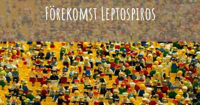 Förekomst Leptospiros