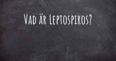 Vad är Leptospiros?