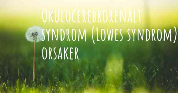 Okulocerebrorenalt syndrom (Lowes syndrom) orsaker
