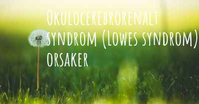 Okulocerebrorenalt syndrom (Lowes syndrom) orsaker