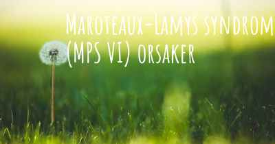 Maroteaux-Lamys syndrom (MPS VI) orsaker