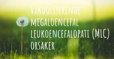 Vakuoliserende megaloencefal leukoencefalopati (MLC) orsaker