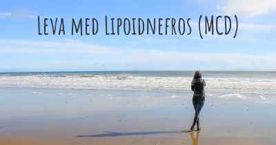 Leva med Lipoidnefros (MCD)