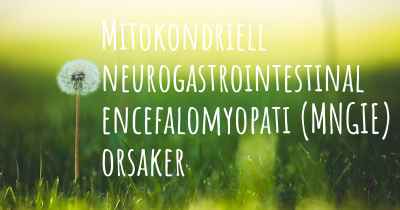 Mitokondriell neurogastrointestinal encefalomyopati (MNGIE) orsaker
