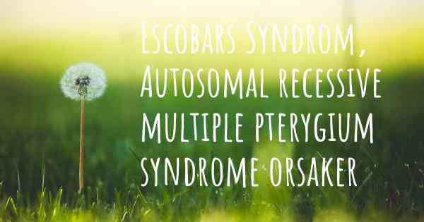 Escobars Syndrom, Autosomal recessive multiple pterygium syndrome orsaker