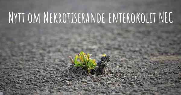 Nytt om Nekrotiserande enterokolit NEC