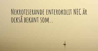 Nekrotiserande enterokolit NEC är också bekant som..