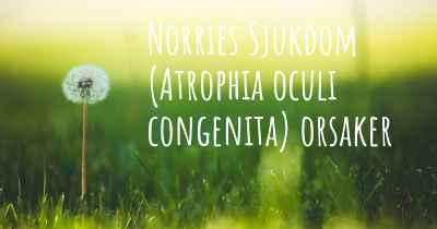 Norries Sjukdom (Atrophia oculi congenita) orsaker
