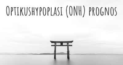 Optikushypoplasi (ONH) prognos