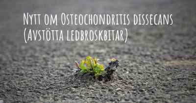 Nytt om Osteochondritis dissecans (Avstötta ledbroskbitar)