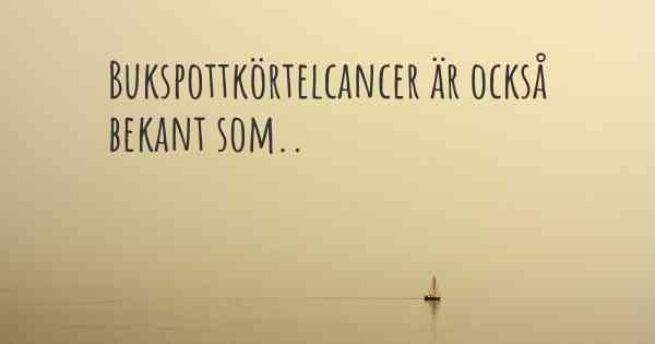 Bukspottkörtelcancer är också bekant som..