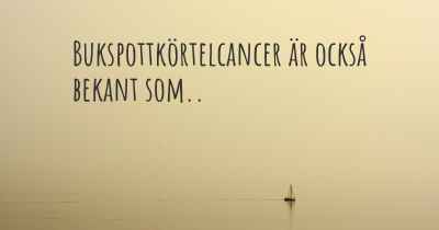 Bukspottkörtelcancer är också bekant som..