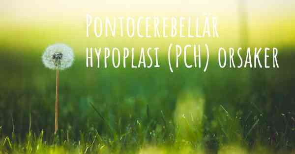 Pontocerebellär hypoplasi (PCH) orsaker
