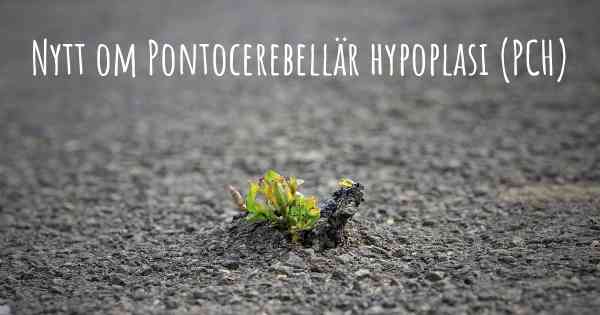 Nytt om Pontocerebellär hypoplasi (PCH)