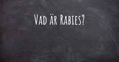 Vad är Rabies?