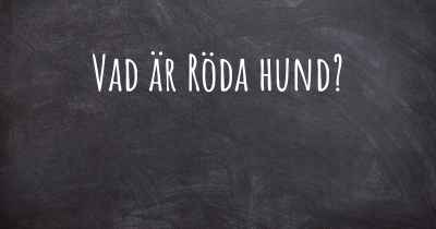 Vad är Röda hund?