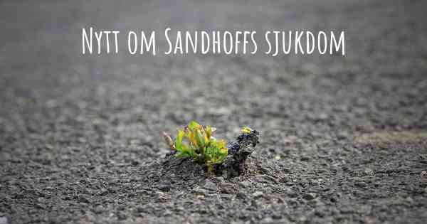 Nytt om Sandhoffs sjukdom