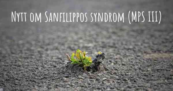 Nytt om Sanfilippos syndrom (MPS III)