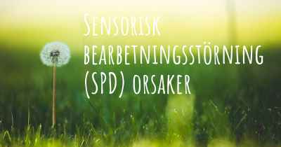 Sensorisk bearbetningsstörning (SPD) orsaker