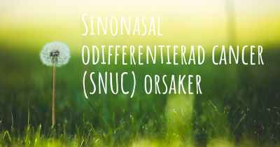 Sinonasal odifferentierad cancer (SNUC) orsaker