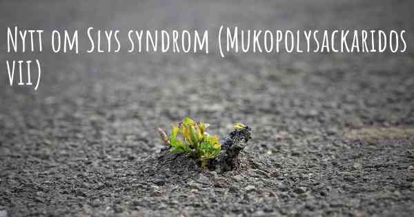 Nytt om Slys syndrom (Mukopolysackaridos VII)