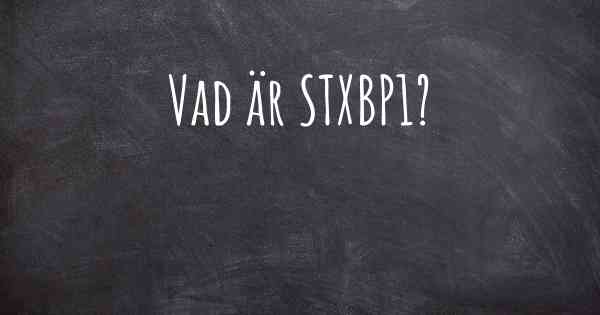 Vad är STXBP1?